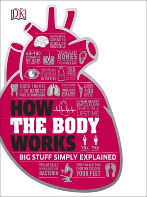 cover image of How the Body Works